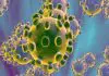 El coronavirus es una epidemia que avanza y de la que hay que cuidarse.