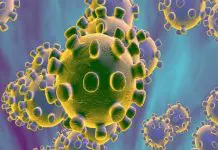 Descartan Coronavirus en Paciente de NYC El coronavirus es una epidemia que avanza y de la que hay que cuidarse.