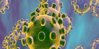 El coronavirus es una epidemia que avanza y de la que hay que cuidarse.