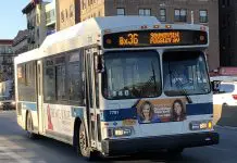 Omnibus de servicio publico
