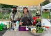 Brooklyn ofrece fondos para alimentación saludable