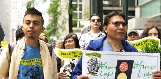 Ley Luz Verde en Nueva York