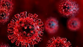 El coronavirus ha afectado a millones de personas