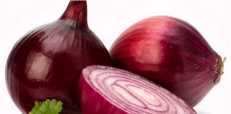 salmonela vinculado a cebollas rojas