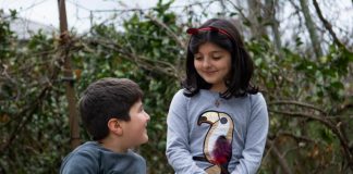 Disminuye exposición de niños al plomo