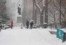 NIEVE EN NYC EFE AGENCIA