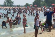 Preparan playas de Nueva York para comenzar la temporada de verano