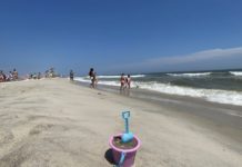 Un verano en Nueva York