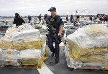 EEUU decomisa más de 500 millones de dólares en cocaína y marihuana