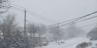 Con Edison preparado para primera tormenta 2022