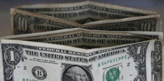 Lanzan servicio para crear historial de crédito sin deuda en EEUU