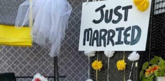 boda masiva de perros celebrada en Villa Park, Illinois EFE