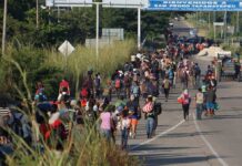 Urgen fondos para representación legal de inmigrantes