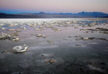Acusan a gobiernos de Latinoamérica de favorecer a mineras