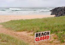 Cierran playa de Nueva York a bañistas por avistamiento de tiburones