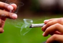 Nueva ley prohíbe fumar en parques públicos y playas