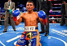 Juan Francisco Estrada vs. “Chocolatito”