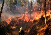 Ecuador decreta emergencia nacional por incendios forestales y sequía