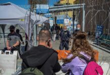 Asilos concedidos registran récord histórico en 2022