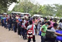 Entrada de migrantes a Honduras creció 973,7 %