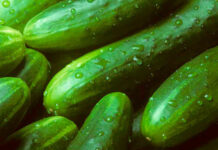Dieta del pepino para adelgazar siete kilos