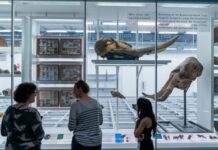 Museo Historia Natural de Nueva York estrena su nueva ala, un hito arquitectónico