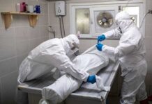 Acusan a exadministrador de morgue de Harvard por robo y venta de partes de restos humanos