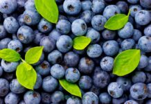 NUTRICIÓN: Lista de alimentos con pocas calorías