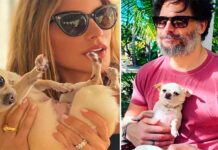 Sofía Vergara y Joe Manganiello discuten