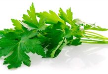 Beneficios del perejil para la salud