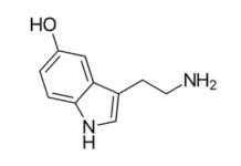 Bienestar: La Serotonina