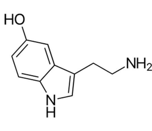 Bienestar: La Serotonina