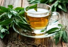 Los beneficios del té verde