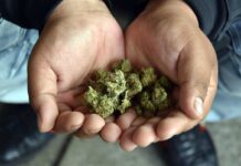 Más de 150.000 deportados por uso o posesión de marihuana