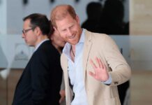 Príncipe Enrique visitará Nueva York durante la Asamblea General de la ONU