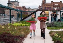 Educación climática será tema central en la Semana del Clima de Nueva York