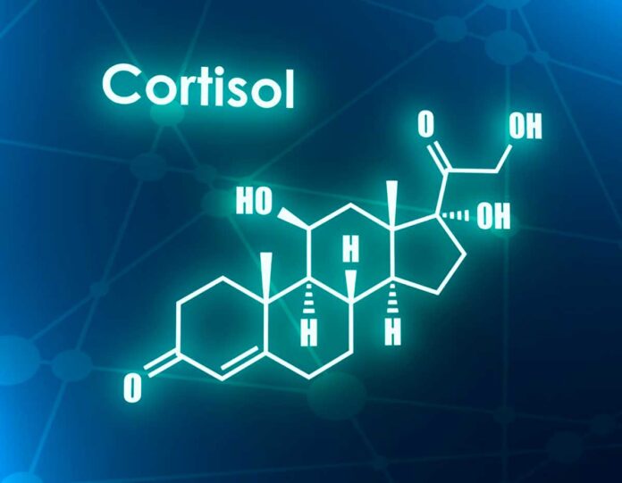Cómo bajar el cortisol de manera natural - New York Hispano