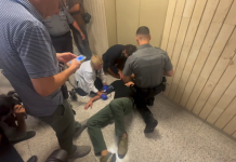 Periodista hospitalizado ICE Nueva York. Imagen del momento en que un reportero tuvo que ser atendido por el servicio de emergencia luego que agentes empujaron e hirieron a periodistas en el Edificio de Federal Plaza, Oficina de Inmigración. USCIS. Foto: Contributed