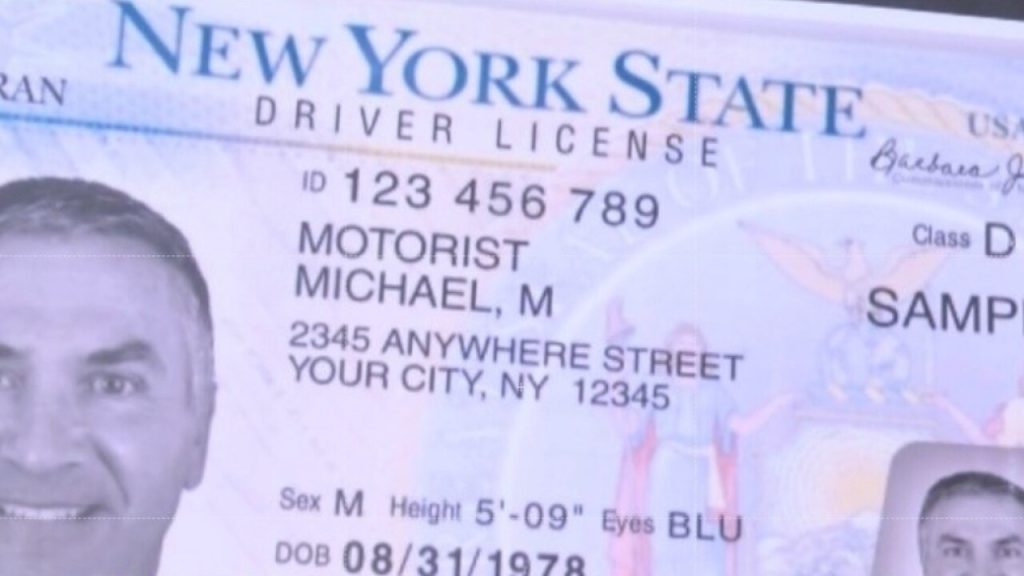 La imagen de una tarjeta de conducir falsa. Foto DMV NY