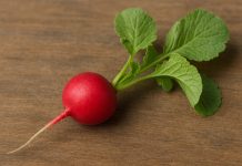 Rábano: un vegetal con grandes beneficios para la salud