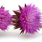 Te Enteraste de Que …