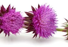 Te Enteraste de Que …