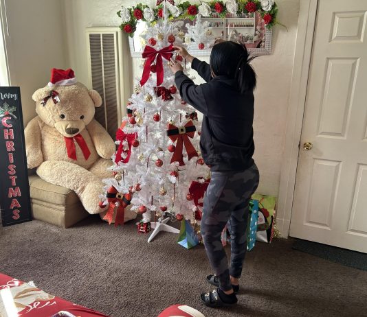 Migrantes ruegan ser «invisibles» para los agentes de Inmigración en Navidad
