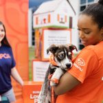 Consejos para evitar estafas con mascotas en estas fiestas