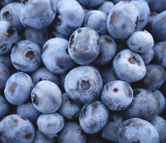 Arándano: el pequeño superalimento de grandes beneficios