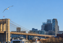 NY ampliará el servicio del ferry para la Copa Mundial FIFA 2026 Una nave del Ferry de NYC. Foto: NYC Ferry