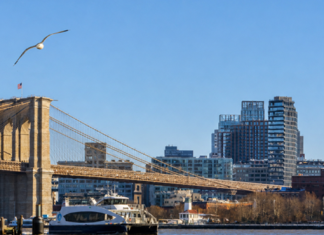 Una nave del Ferry de NYC. Foto: NYC Ferry