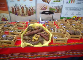 Agrofest e historias de los agricultores peruanos