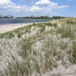 Educación climática para profesores de Nueva York