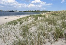 Educación climática para profesores de Nueva York